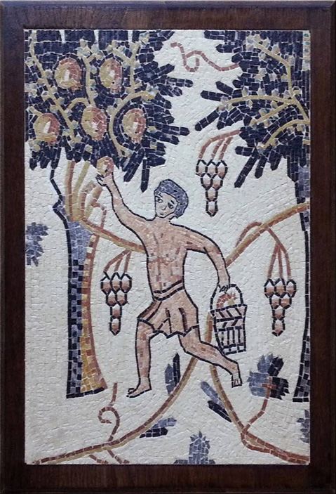 Mosaic of a grape harvester